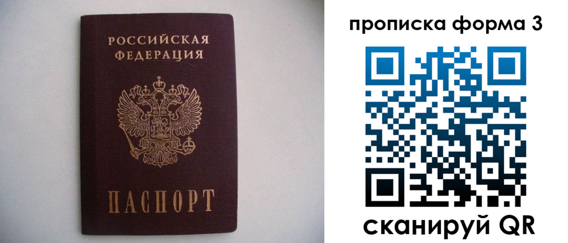 прописка в Электрогорске